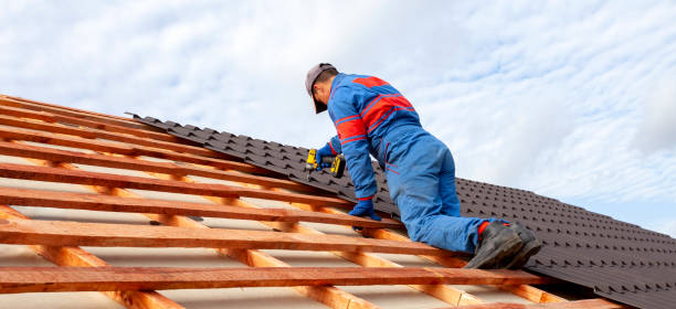 Best Skylight Installation and Repair  in Red Lake, MN